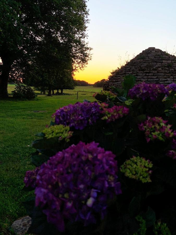 Au Coeur De La Nature Allaire Buitenkant foto